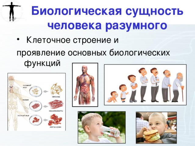 Сущность человека картинки для презентации