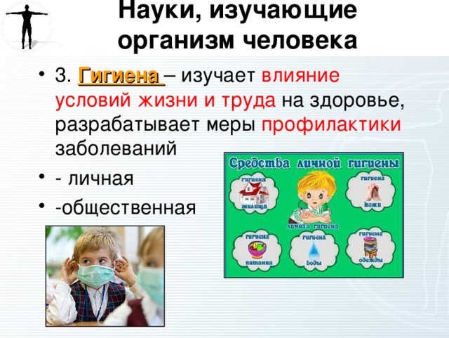 Науки о человеке и их методы презентация 8 класс