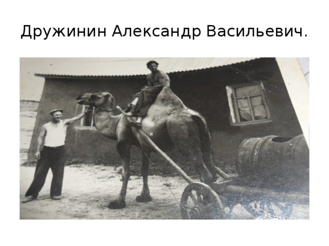 Дружинин Александр Васильевич. 