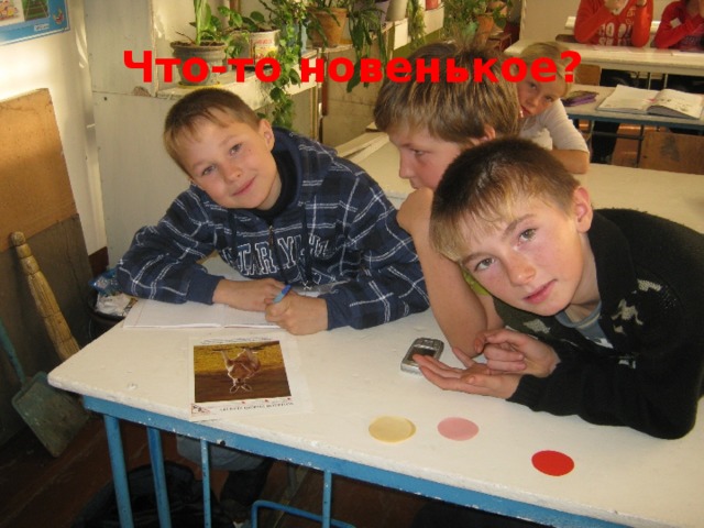 Что-то новенькое? 