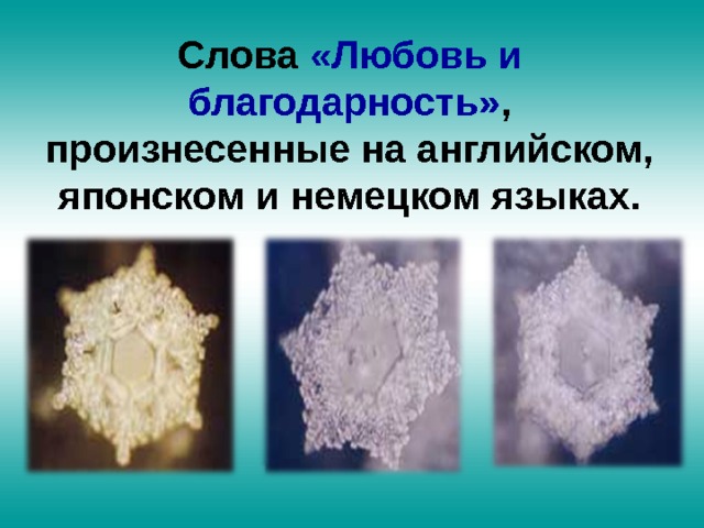 Слова «Любовь и благодарность» , произнесенные на английском, японском и немецком языках. 