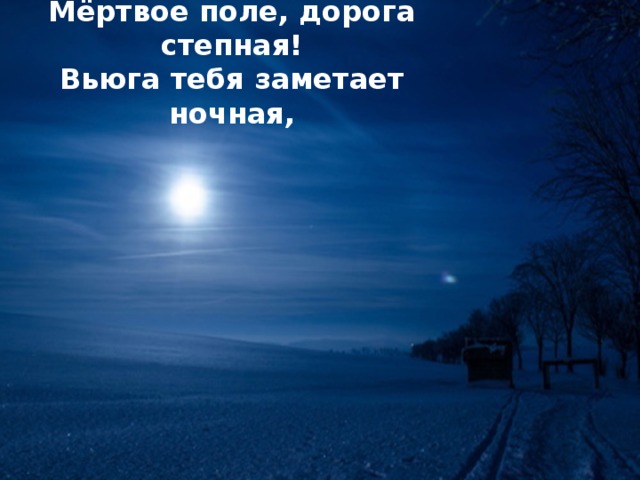 Мёртвое поле, дорога степная! Вьюга тебя заметает ночная,