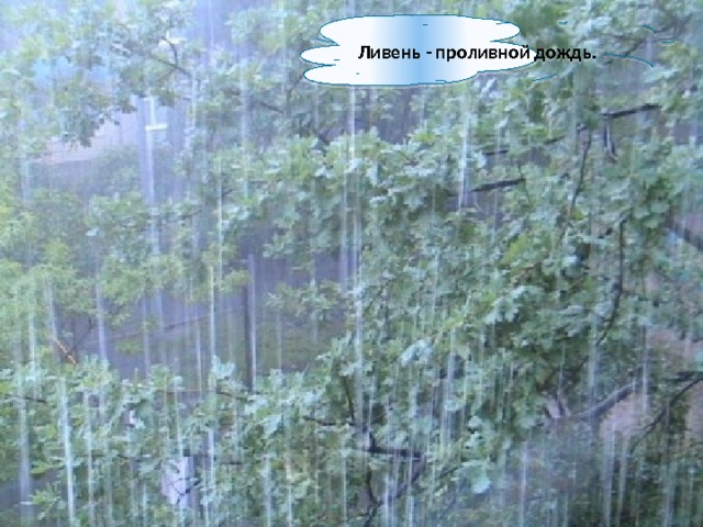 Ливень - проливной дождь. 