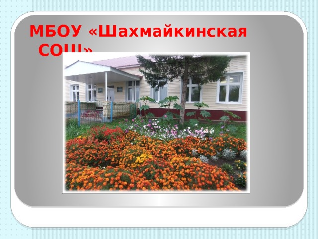 МБОУ «Шахмайкинская СОШ» 