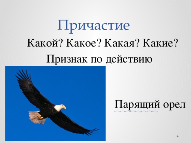 Причастие Какой? Какое? Какая? Какие? Признак по действию Парящий орел 