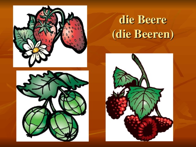 die Beere  (die Beeren)