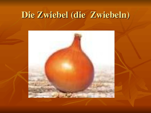 Die Zwiebel (die Zwiebeln )