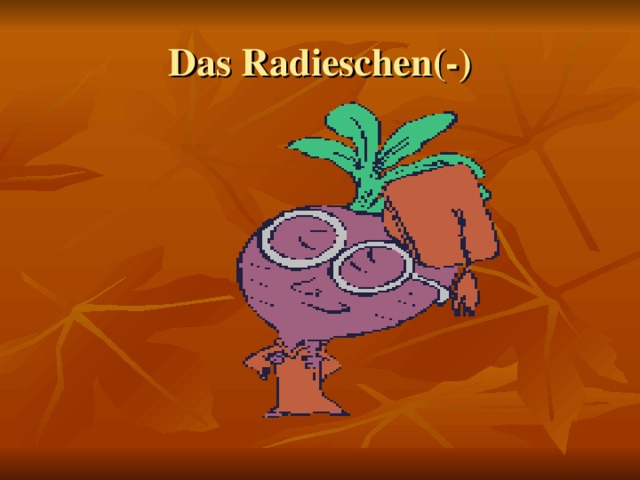 Das Radieschen (-)