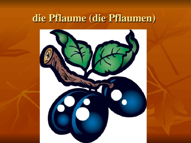 die Pflaume (die Pflaumen)