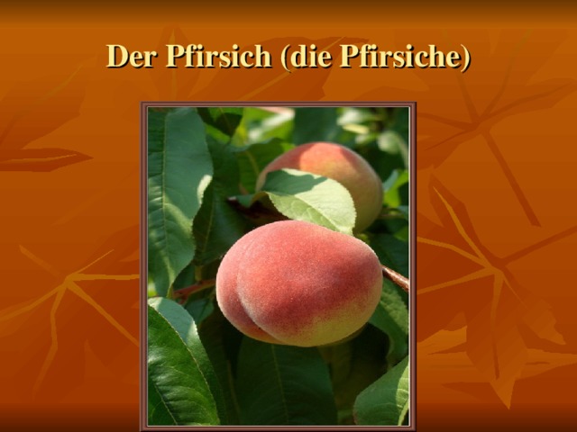 Der Pfirsich (die Pfirsiche)