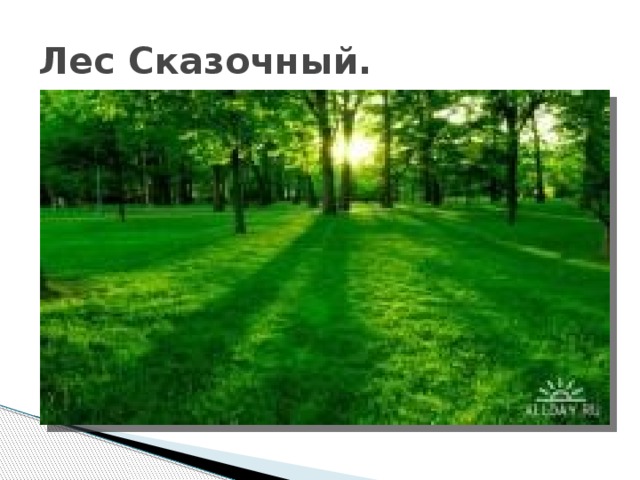 Лес Сказочный. 