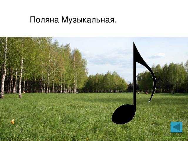 Поляна Музыкальная. 