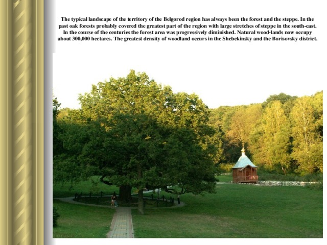 The typical landscape of the territory of the Belgorod region has always been the forest and the steppe. In the past oak forests probably covered the greatest part of the region with large stretches of steppe in the south-east. In the course of the centuries the forest area was progressively diminished. Natural wood-lands now occupy about 300,000 hectares. The greatest den­sity of woodland occurs in the Shebekinsky and the Borisovsky district.