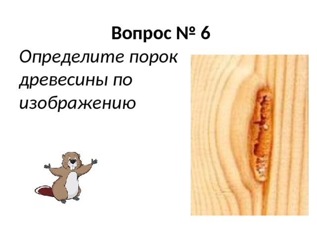 Рисунки пороки древесины