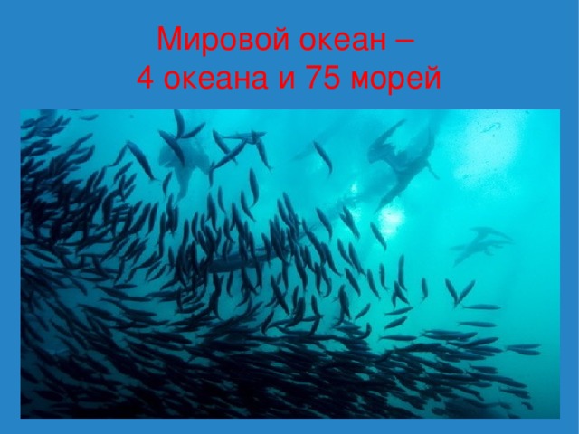 Мировой океан –  4 океана и 75 морей 