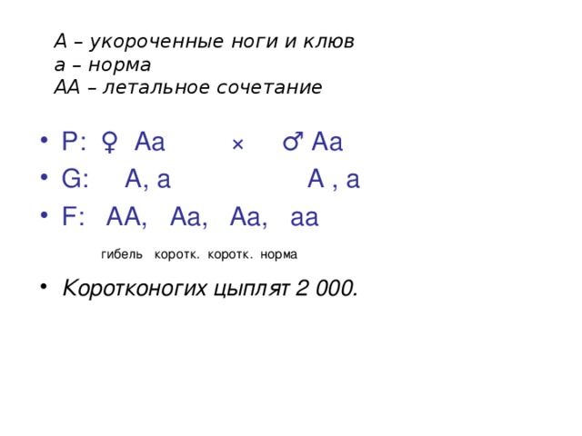 А – укороченные ноги и клюв а – норма АА – летальное сочетание Р: ♀ Аа × ♂ Аа G: А, а А , а F: АА, Аа, Аа, аа   гибель коротк. коротк. норма Коротконогих цыплят 2 000. 