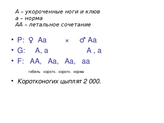 А – укороченные ноги и клюв а – норма АА – летальное сочетание Р: ♀ Аа × ♂ Аа G: А, а А , а F: АА, Аа, Аа, аа   гибель коротк. коротк. норма Коротконогих цыплят 2 000. 