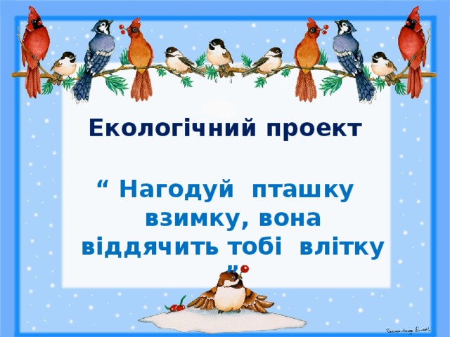  Екологічний проект   “ Нагодуй пташку взимку, вона віддячить тобі влітку ”  