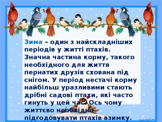  Зима – один з найскладніших періодів у житті птахів. Значна частина корму, такого необхідного для життя пернатих друзів схована під снігом. У період нестачі корму найбільш уразливими стають дрібні садові птахи, які часто гинуть у цей час. Ось чому життєво необхідно підгодовувати птахів взимку. 