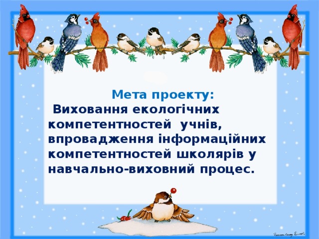   Мета проекту:  Виховання екологічних компетентностей учнів, впровадження інформаційних компетентностей школярів у навчально-виховний процес. 
