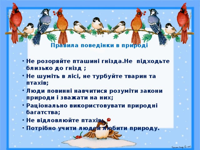 Правила поведінки в природі  Не розоряйте пташині гнізда.Не підходьте близько до гнізд ; Не шуміть в лісі, не турбуйте тварин та птахів; Люди повинні навчитися розуміти закони природи і зважати на них; Раціонально використовувати природні багатства; Не відловлюйте птахів; Потрібно учити людей любити природу. 