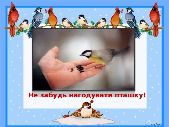 Не забудь нагодувати пташку! 