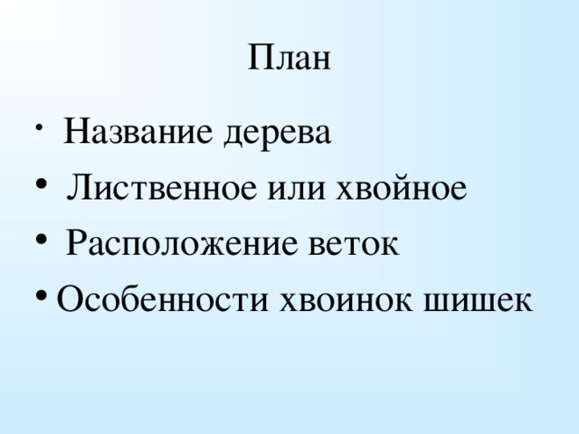 План  Название дерева  Лиственное или хвойное  Расположение веток Особенности хвоинок шишек 