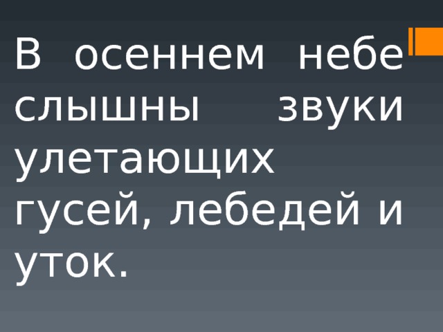 В осеннем небе слышны звуки улетающих гусей, лебедей и уток. 