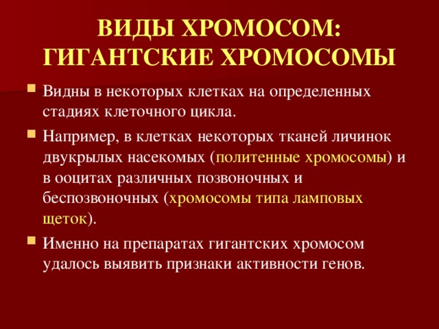 ВИДЫ ХРОМОСОМ:  ГИГАНТСКИЕ ХРОМОСОМЫ Видны в некоторых клетках на определенных стадиях клеточного цикла. Например, в клетках некоторых тканей личинок двукрылых насекомых ( политенные хромосомы ) и в ооцитах различных позвоночных и беспозвоночных ( хромосомы типа ламповых щеток ). Именно на препаратах гигантских хромосом удалось выявить признаки активности генов. 