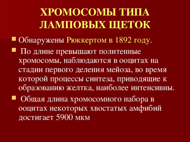 ХРОМОСОМЫ ТИПА ЛАМПОВЫХ ЩЕТОК Обнаружены Рюккертом  в 1892 году .  По длине превышают политенные хромосомы, наблюдаются в ооцитах на стадии первого деления мейоза, во время которой процессы синтеза, приводящие к образованию желтка, наиболее интенсивны.  Общая длина хромосомного набора в ооцитах некоторых хвостатых амфибий достигает 5900 мкм 