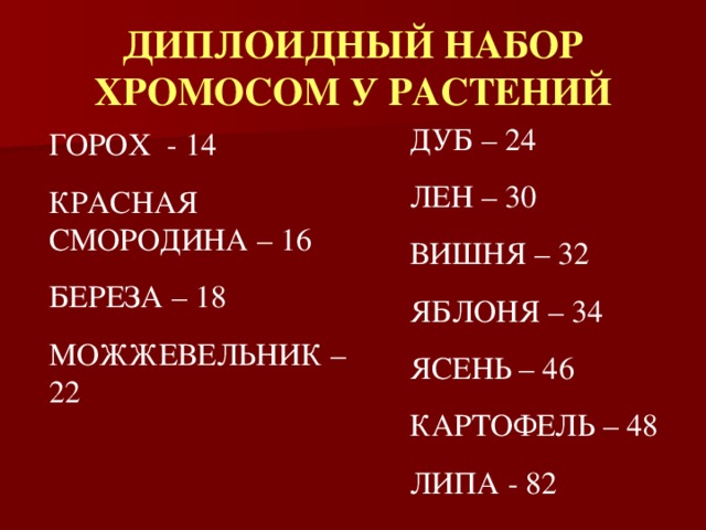 ДИПЛОИДНЫЙ НАБОР ХРОМОСОМ У РАСТЕНИЙ ДУБ – 24 ЛЕН – 30 ВИШНЯ – 32 ЯБЛОНЯ – 34 ЯСЕНЬ – 46 КАРТОФЕЛЬ – 48 ЛИПА - 82 ГОРОХ - 14 КРАСНАЯ СМОРОДИНА – 16 БЕРЕЗА – 18 МОЖЖЕВЕЛЬНИК – 22 