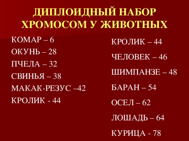 ДИПЛОИДНЫЙ НАБОР ХРОМОСОМ У ЖИВОТНЫХ КОМАР – 6 ОКУНЬ – 28 ПЧЕЛА – 32 СВИНЬЯ – 38 МАКАК-РЕЗУС –42 КРОЛИК - 44 КРОЛИК – 44 ЧЕЛОВЕК – 46 ШИМПАНЗЕ – 48 БАРАН – 54 ОСЕЛ – 62 ЛОШАДЬ – 64 КУРИЦА - 78 