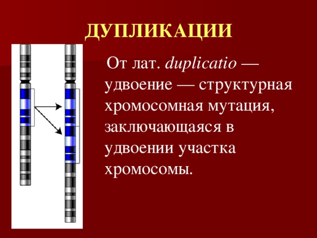 ДУПЛИКАЦИИ  От лат. duplicatio — удвоение — структурная хромосомная мутация, заключающаяся в удвоении участка хромосомы. 