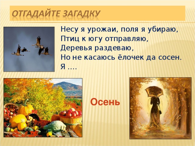  Несу я урожаи, поля я убираю,  Птиц к югу отправляю,  Деревья раздеваю,  Но не касаюсь ёлочек да сосен.  Я …. Осень 