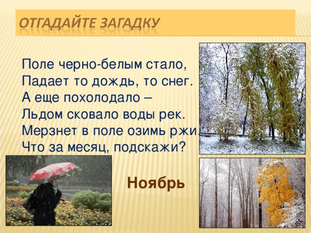 Поле черно-белым стало, Падает то дождь, то снег. А еще похолодало – Льдом сковало воды рек. Мерзнет в поле озимь ржи. Что за месяц, подскажи? Ноябрь 