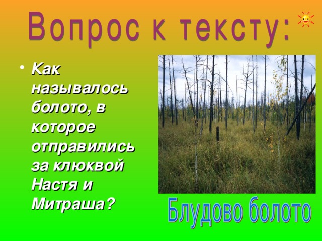 Как называлось болото, в которое отправились за клюквой Настя и Митраша? 