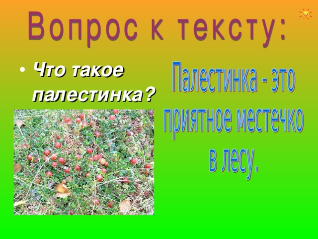 Что такое палестинка? 