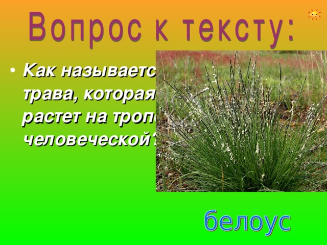 Как называется трава, которая растет на тропе человеческой? 