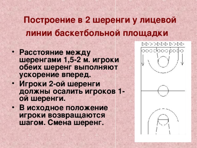   Построение в 2 шеренги у лицевой линии баскетбольной площадки  Расстояние между шеренгами 1,5-2 м. игроки обеих шеренг выполняют ускорение вперед. Игроки 2-ой шеренги должны осалить игроков 1-ой шеренги. В исходное положение игроки возвращаются шагом. Смена шеренг. 