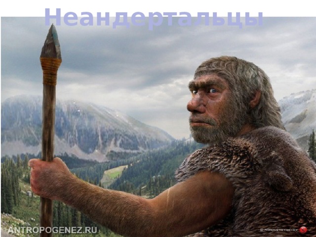 Неандертальцы 