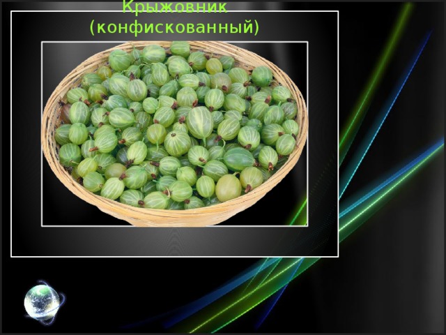 Презентация крыжовник чехова 10 класс