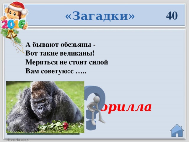 40 «Загадки» А бывают обезьяны -  Вот такие великаны!  Меряться не стоит силой Вам советую:с …..  Горилла  