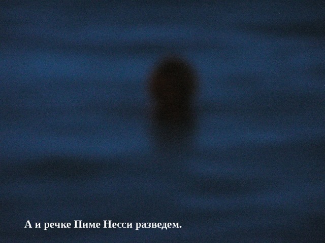  А и речке Пиме Несси разведем. 