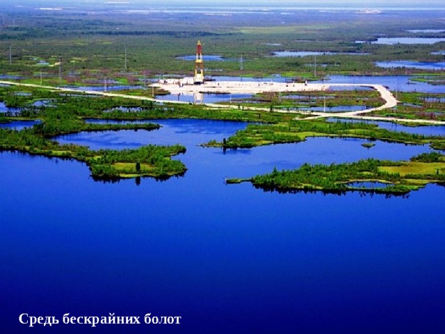 Средь бескрайних болот 
