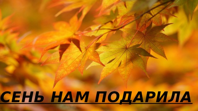 ОСЕНЬ НАМ ПОДАРИЛА 