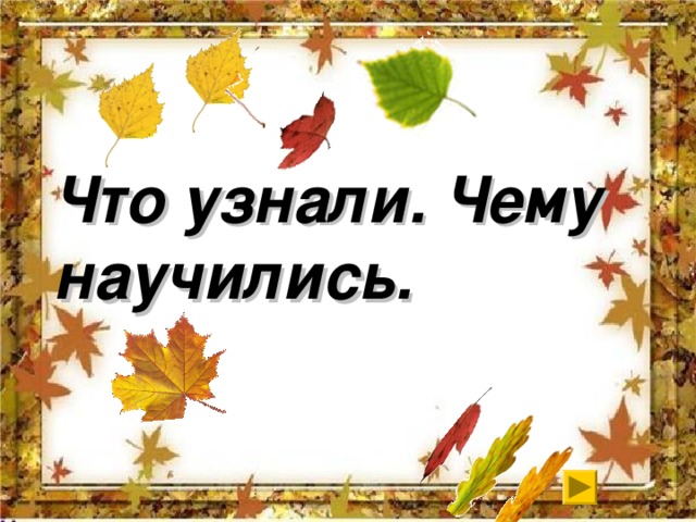 Что узнали. Чему научились.   