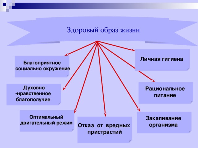  Здоровый образ жизни Личная гигиена  Благоприятное  социально окружение Рациональное питание  Духовно -нравственное благополучие  Оптимальный двигательный режим  Закаливание организма Отказ от вредных  пристрастий  