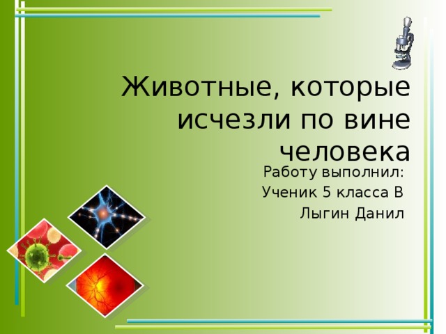 Животные, которые исчезли по вине человека Работу выполнил: Ученик 5 класса В Лыгин Данил 