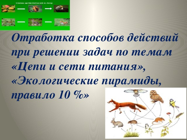 Решение экологических задач по биологии. Экологические задачи по биологии. Задания по теме пищевая цепь. Задачи на экологические пирамиды. Задачи по экологической пирамиде.