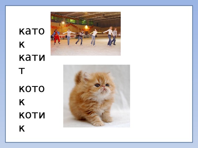 каток катит коток котик 